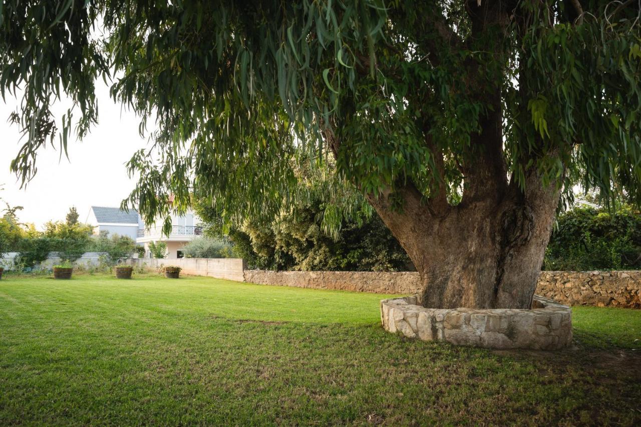 Cedar Tree Villa Кунупидиана Экстерьер фото